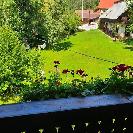 Pensiunea Aurora Fehérvölgy Kültér fotó
