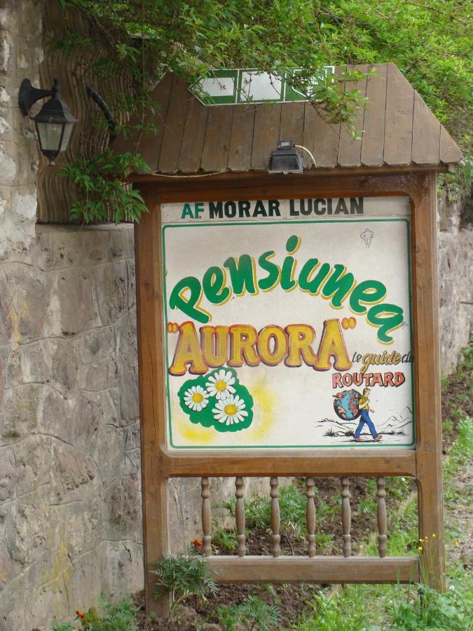 Pensiunea Aurora Fehérvölgy Kültér fotó