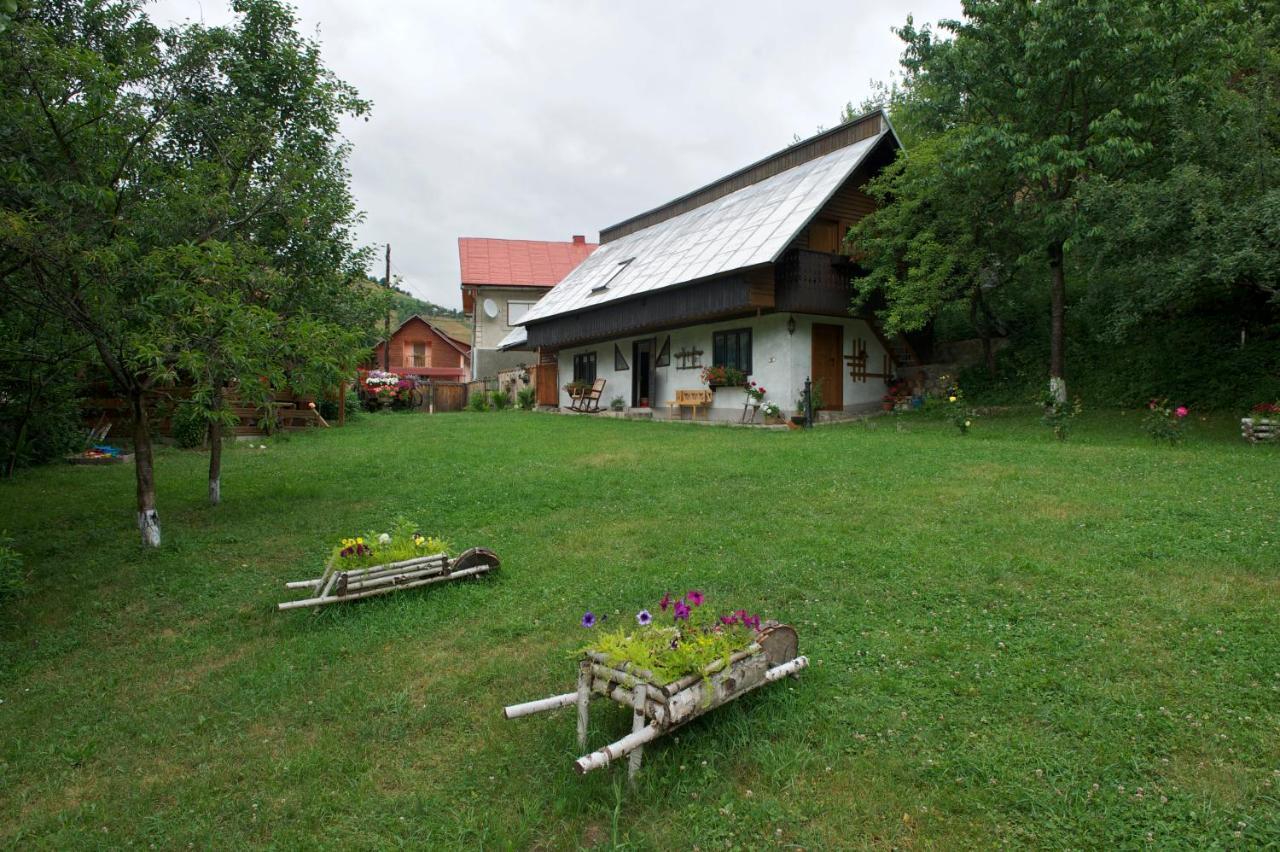 Pensiunea Aurora Fehérvölgy Kültér fotó